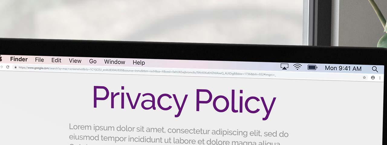 PixoLabo Essential Website Pages Privacy Policy