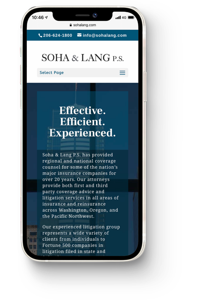 PixoLabo - Professional Services Website Design for Soha & Lang P.S. - Homepage on iPhone
